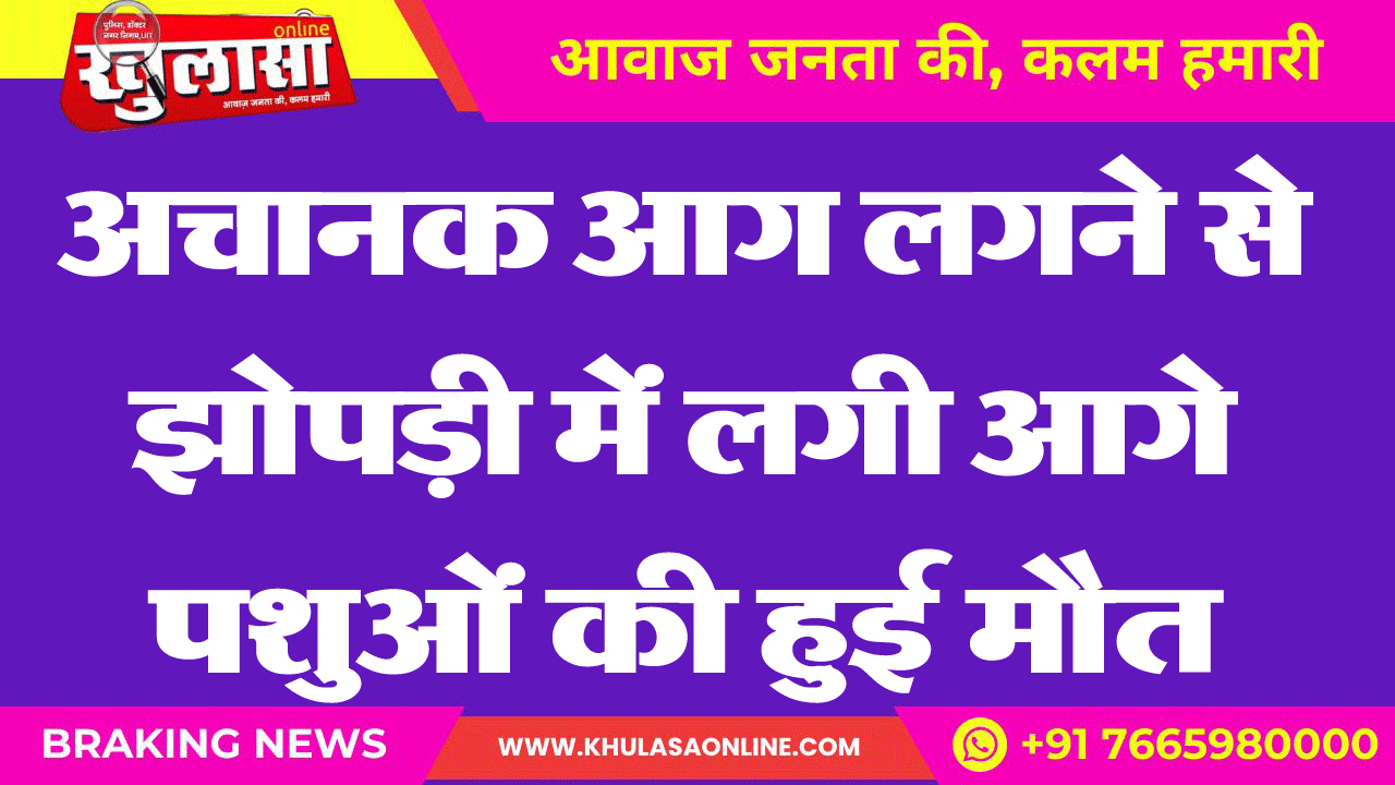 अचानक आग लगने से झोपड़ी में लगी आगे पशुओं की हुई मौत